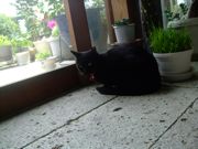 ファイル 1481-2.jpg