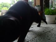 ファイル 1481-4.jpg