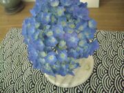 ファイル 1482-2.jpg