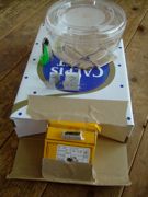 ファイル 1484-1.jpg