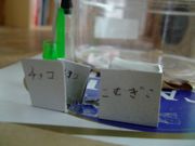 ファイル 1484-3.jpg