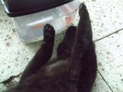 ファイル 1485-2.jpg