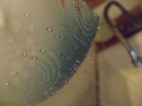 ファイル 1489-2.jpg