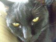 ファイル 1502-1.jpg