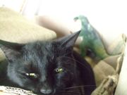 ファイル 1502-2.jpg