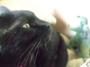 ファイル 1502-3.jpg