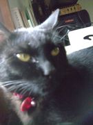 ファイル 1502-4.jpg