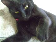 ファイル 1510-1.jpg