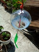 ファイル 1516-1.jpg