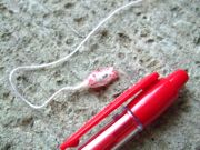 ファイル 1532-2.jpg