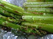 ファイル 1534-1.jpg