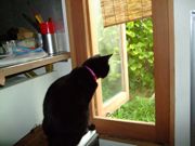 ファイル 1543-1.jpg