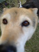 ファイル 1544-1.jpg