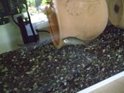 ファイル 1546-1.jpg