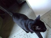 ファイル 1548-1.jpg