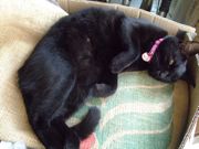 ファイル 1551-1.jpg