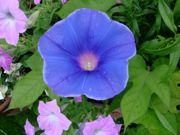 ファイル 1552-1.jpg