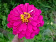 ファイル 1557-1.jpg