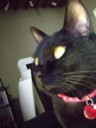 ファイル 1563-1.jpg