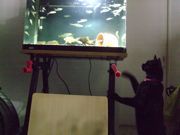 ファイル 1566-1.jpg