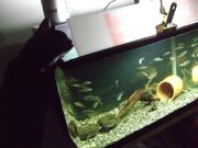 ファイル 1569-2.jpg