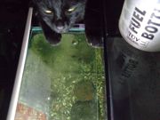 ファイル 1569-4.jpg