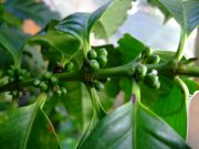 ファイル 1571-1.jpg