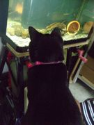 ファイル 1572-1.jpg