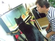 ファイル 1572-2.jpg