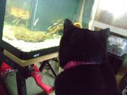 ファイル 1572-3.jpg