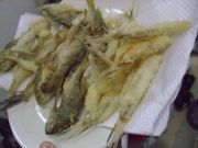 ファイル 1584-2.jpg