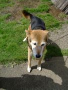 ファイル 1588-1.jpg