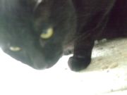 ファイル 1592-3.jpg