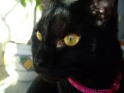 ファイル 1599-3.jpg