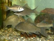 ファイル 1610-1.jpg