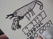 ファイル 1623-2.jpg