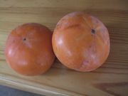 ファイル 1632-1.jpg