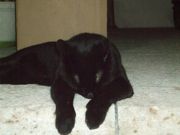 ファイル 1639-1.jpg