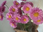 ファイル 1651-1.jpg