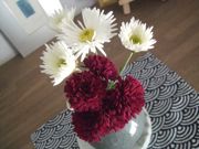 ファイル 1651-2.jpg