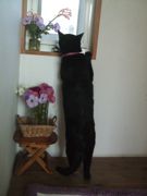 ファイル 1657-1.jpg