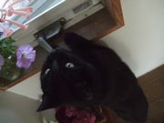 ファイル 1660-3.jpg