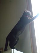 ファイル 1661-2.jpg