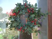 ファイル 1670-1.jpg