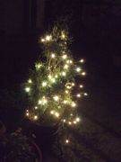 ファイル 1672-1.jpg