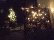 ファイル 1672-2.jpg