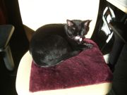 ファイル 1678-1.jpg