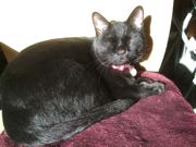 ファイル 1678-3.jpg