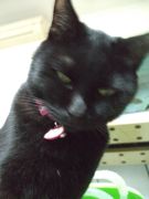 ファイル 1678-4.jpg