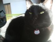 ファイル 1691-4.jpg